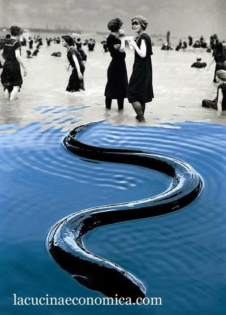 Pellegrino Artusi, l'anguilla Pellegrino Artusi, l'anguilla