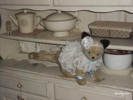 shabbychic, the cat shabbychic, the cat