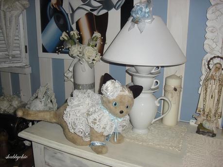 shabbychic, the cat shabbychic, the cat