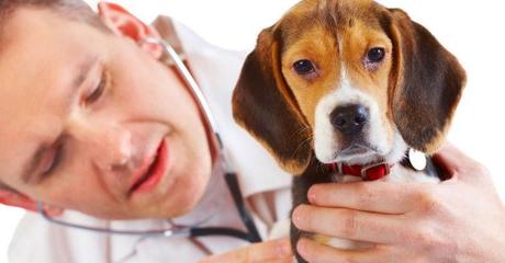 Burocrazia = Pazzia Burocrazia = Pazzia