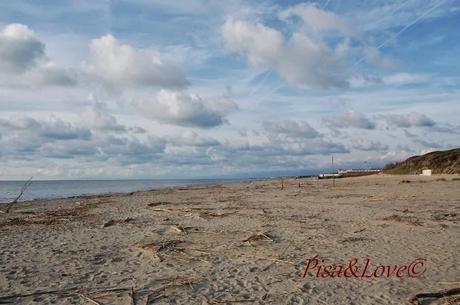 Pisa maremmonti*. Pisa maremmonti*.