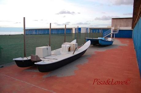 Pisa maremmonti*. Pisa maremmonti*.