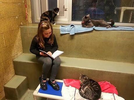 day sharing: i bambini che leggono i libri ai gatti