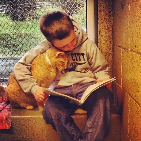 day sharing: i bambini che leggono i libri ai gatti