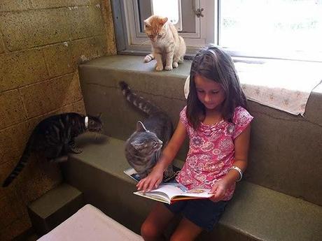 day sharing: i bambini che leggono i libri ai gatti