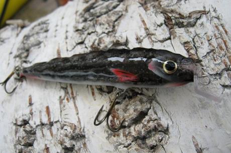 Black minnow in real fish skin by Petri Muuttoranta