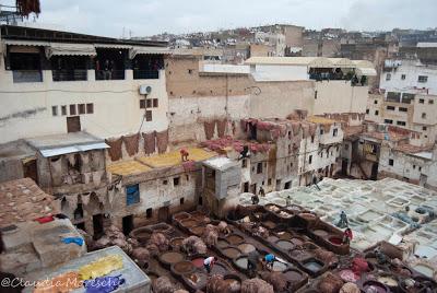 Fes: la più brulicante e affascinante delle città imperiali del Marocco