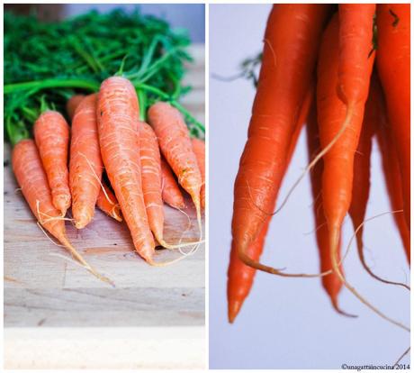 Doppia vellutata di carote