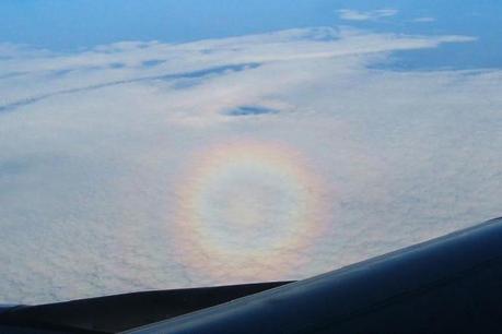 Una gloria terrestre vista dall’aereo. Crediti: Earth Science Picture of the Day/Raquel Yumi Shida.