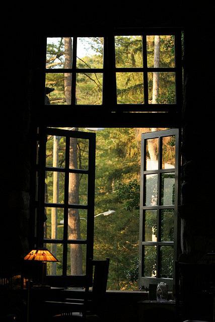 window