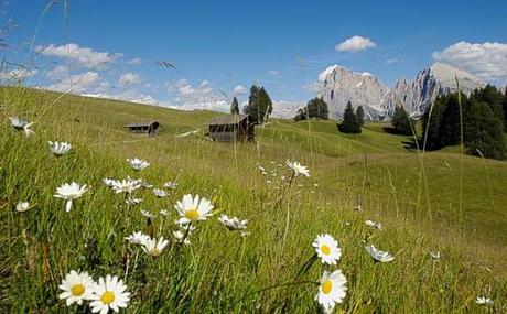 Vacanze ecosostenibili:  muoversi senza auto all’Alpe di Siusi
