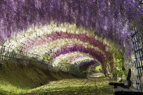 I luoghi più belli del mondo: le foto più belle.