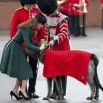 Kate Middleton rende onore al levriero per la festa di San Patrizio (foto)