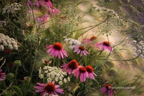 maestri di carta di Rosanna Castrini foto Rosanna Castrini