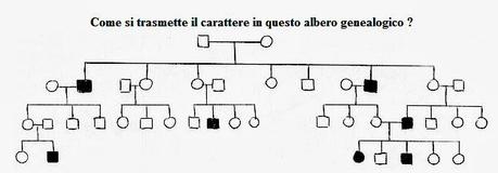 Alberi genealogici e trasmissione ereditaria delle caratteristiche genetiche: un ripasso - 03