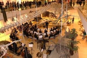 “Music of the Muse”: a Trento la prima esecuzione assoluta della Sinfonia composta dal M° Giuseppe Calvino