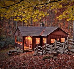 La casa nel bosco.
