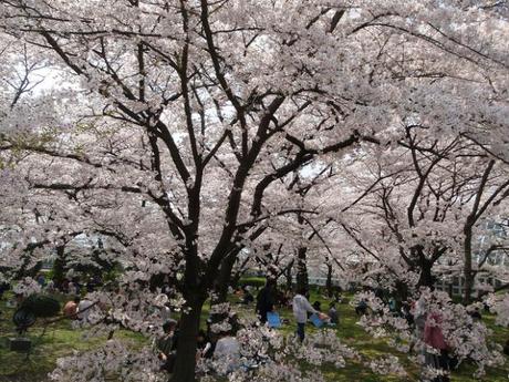 Giardini botanici di Kyoto