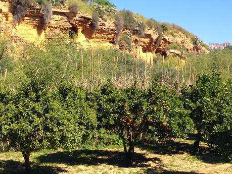 I profumi di Agrigento_ Day 1