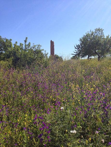 I profumi di Agrigento_ Day 1