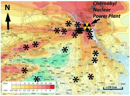 Le foreste pietrificate di Chernobyl