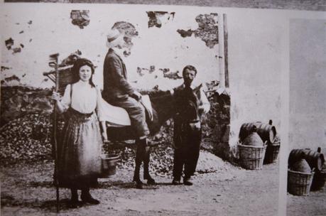 Ti amavamo perché ricordiamo che ci riparavi dal freddo. Ti amavamo perché ricordiamo che ci riparavi dal freddo.