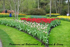 Aiuole quasi come opere d'arte al Keukenhof