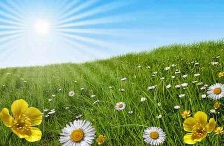 I love spring tag I love spring tag