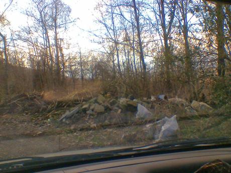 Inquinamento del bosco Inquinamento del bosco