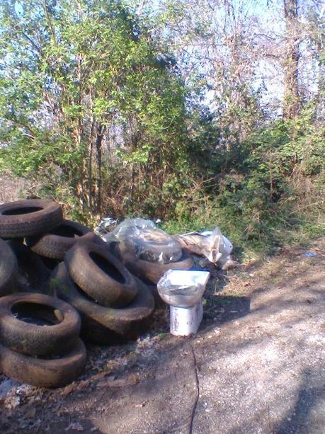 Inquinamento del bosco Inquinamento del bosco