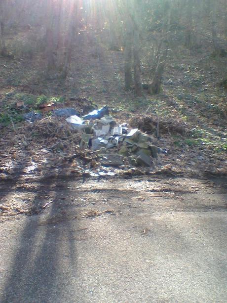 Inquinamento del bosco Inquinamento del bosco