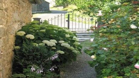 mmlagrangeani11 mmlagrangeani11