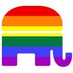Usa: siamo Repubblicani, siamo per il matrimonio gay.