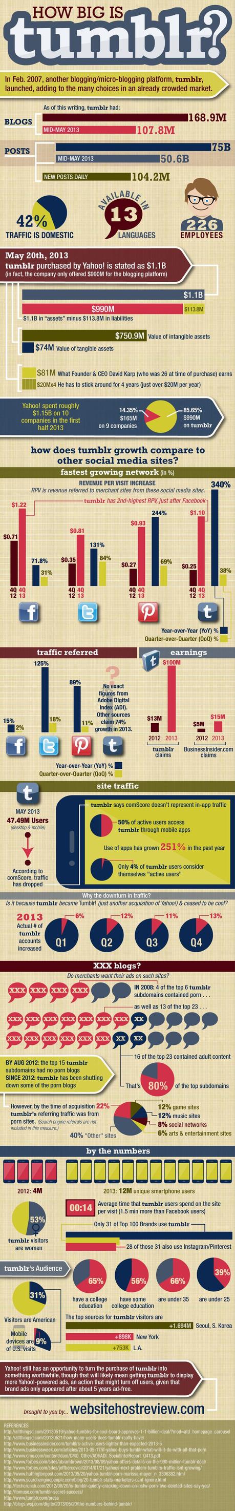 I Numeri di Tumblr: Infografica How Big is tumblr?