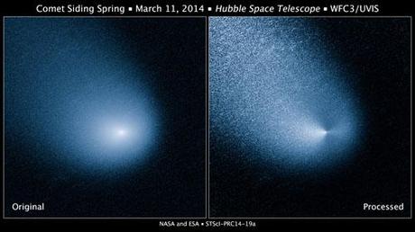 Hubble - cometa Siding Spring 11 Marzo 2014
