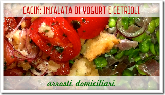 Cacik Insalata di Yogurt e Cetrioli - Arrosti Domiciliari Cacik Insalata di Yogurt e Cetrioli - Arrosti Domiciliari