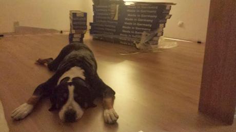 I lavori proseguono... I lavori proseguono...