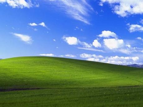 collina-windows (600 x 450)