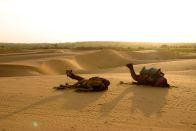 Jaisalmer deserto Thar