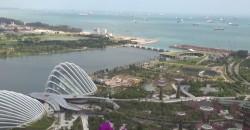 Singapore e Borile moto