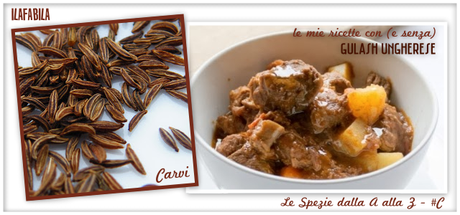 Carvi - Gulash Ungherese - Le Mie Ricette Con (e Senza)