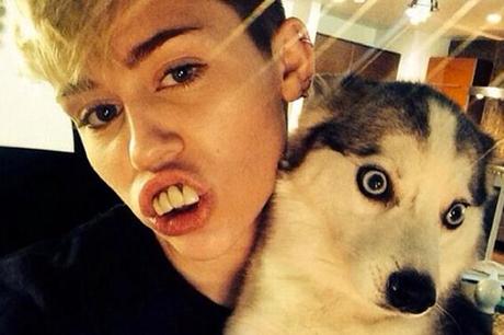 themusik i selfie vip divertenti fun miley cyrus dog cane Top 20 i selfie più divertenti dei vip