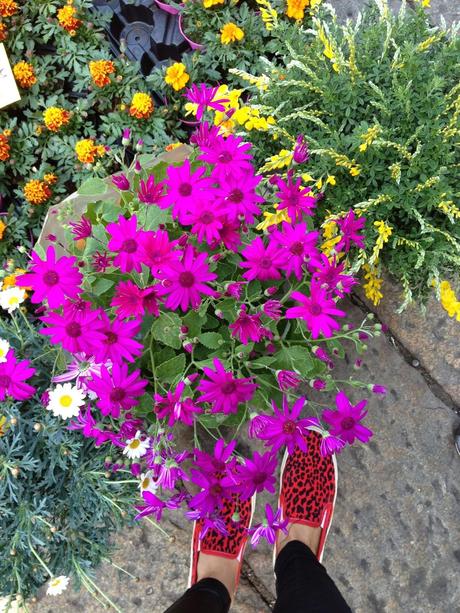 FLOWER MARKET