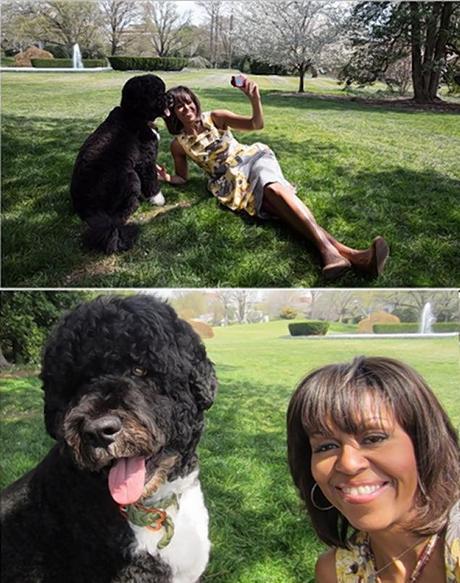 themusik i selfie vip celebrity cani dog amici michelle obama Top 10 i selfie dei vip con i loro amici cani