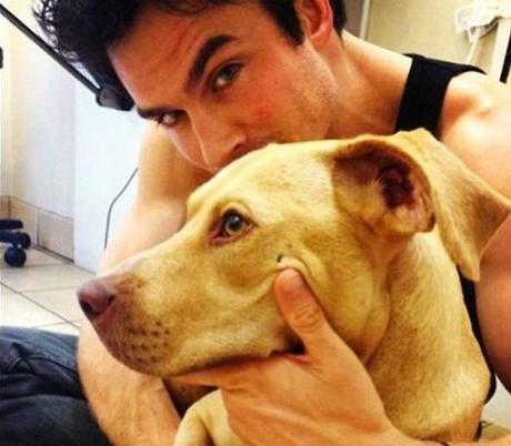 themusik i selfie vip celebrity cani dog amici ian somerhalder  Top 10 i selfie dei vip con i loro amici cani