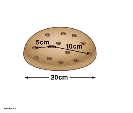 Esempio del pane dell'uvetta utilizzato per spiegare l'aumento della distanza tra i punti