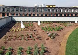 Milano: SuperOrtoPiù. Tetti diventano orti e prati verdi Superortopiù foto ANSA