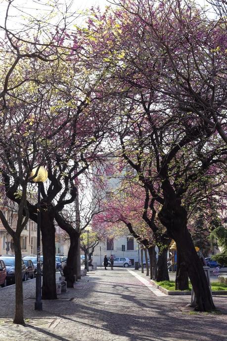 a pink Parisian spot in town