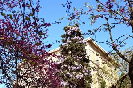 a pink Parisian spot in town