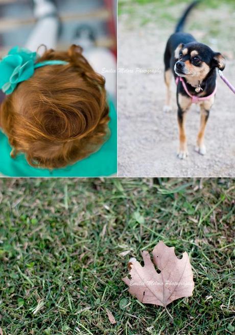 Una Regina e la Principessa al parco. Una Regina e la Principessa al parco.